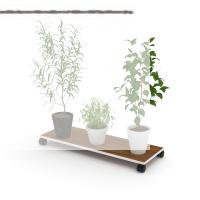 Kenzlife saksı altlığı kazım cvz 010*090*30 tüp saksılık